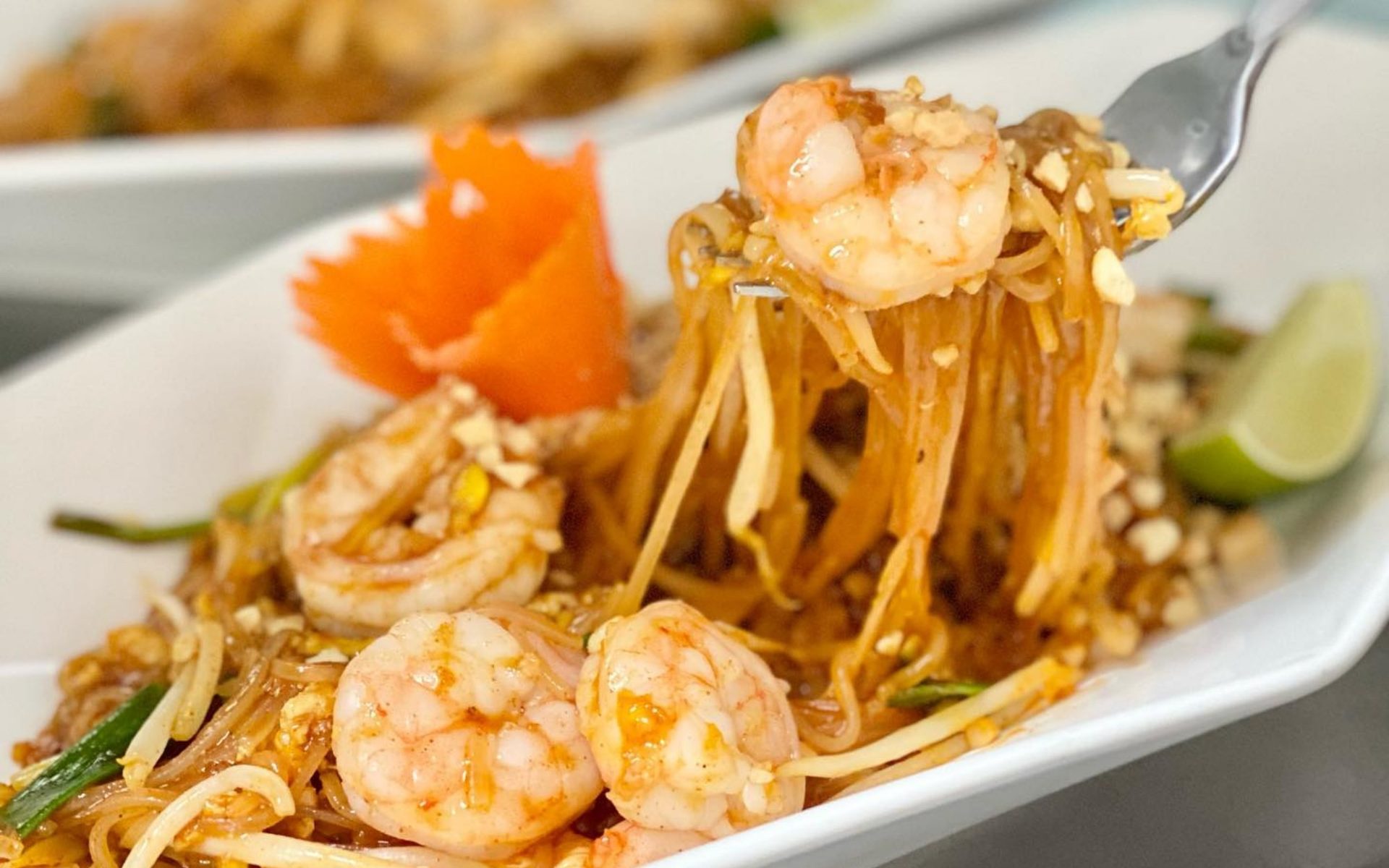 Best Noodle restaurant in Boise, ID | Taste Asian Fusion Bistro